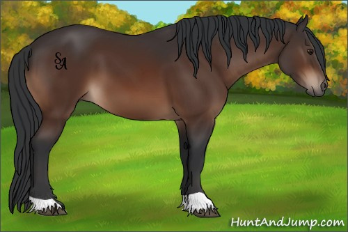 Horse Color:Brown 