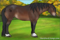 Horse Color:Brown 