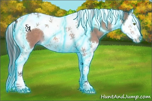 Horse Color:Thunderstruck Bay Dun Splash Tobiano