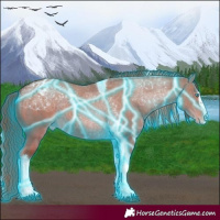 Horse Color:Thunderstruck Red Dun Splash Tobiano Varnish 
