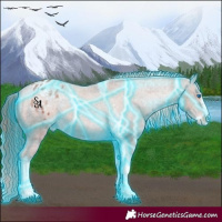 Horse Color:Thunderstruck Red Dun Splash Tobiano Appaloosa 