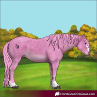 Horse Color:Watercolor Brown 