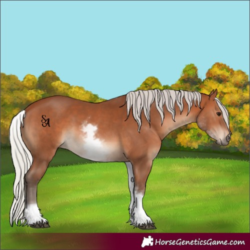 Horse Color:White Spotted Silver Brown