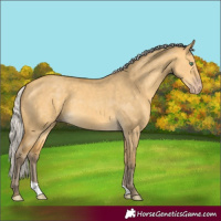 Horse Color:Silver Amber Cream Champagne Dun 