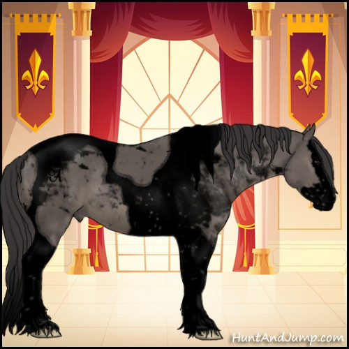 Horse Color:Void Smoky Grullo Splash Tobiano