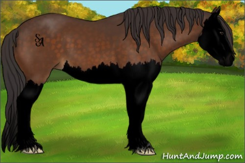 Horse Color:Void Buckskin Splash 