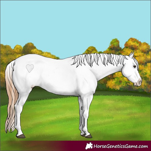 Horse Color:Red Dun Ice Roan Near Leopard 