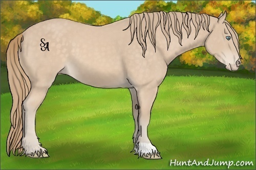 Horse Color:Perlino