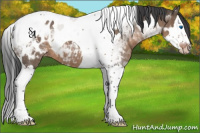 Horse Color:Brown Dun Splash Tobiano Blanket 