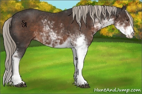 Horse Color:Liver Chestnut Sabino 