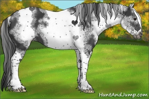 Horse Color:White Spotted Black Tobiano Frame