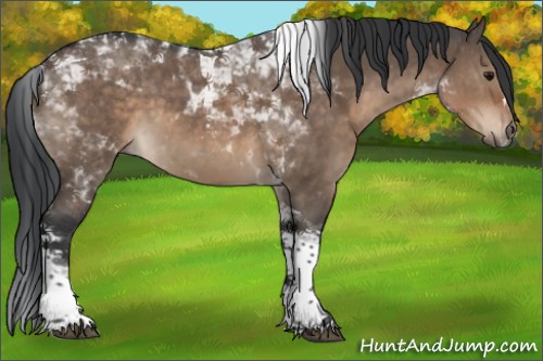 Horse Color:Brown Dun Tobiano