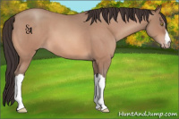 Horse Color:Sable Champagne Roan 