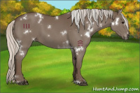 Horse Color:White Spotted Silver Black 