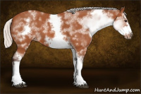 Horse Color:White Spotted Silver Bay Roan Splash Frame 