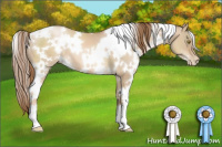 Horse Color:White Spotted Liver Red Dun Pearl