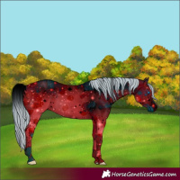 Horse Color:ERROR: UNKNOWN ANOMALY