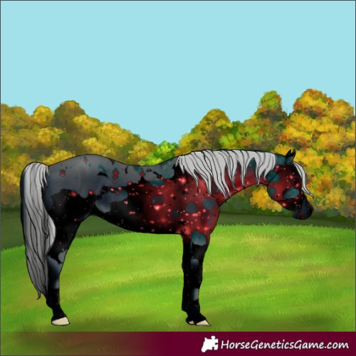 Horse Color:ERROR: UNKNOWN ANOMALY