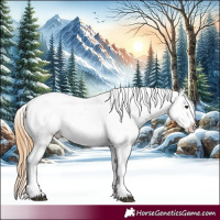 Horse Color:Chestnut Splash Appaloosa 