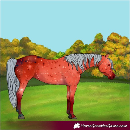 Horse Color:ERROR: UNKNOWN ANOMALY