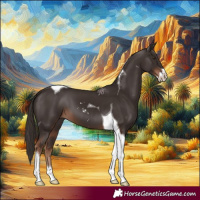 Horse Color:Liver Chestnut Sabino Tobiano