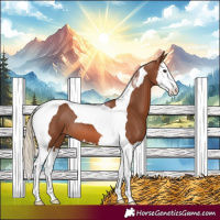 Horse Color:Chestnut Splash Tobiano