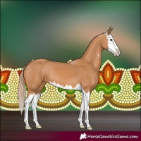 Horse Color:Chestnut Sabino Splash 