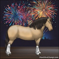 Horse Color:Buckskin Dun 