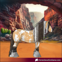 Horse Color:White Spotted Buckskin Dun 