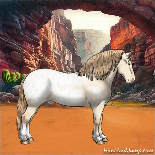 Horse Color:White Spotted Gold Champagne Dun Appaloosa 