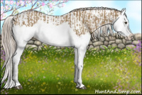 Horse Color:Red Dun Splash and Red Dun Splash Varnish