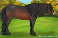 Horse Color:Brown 
