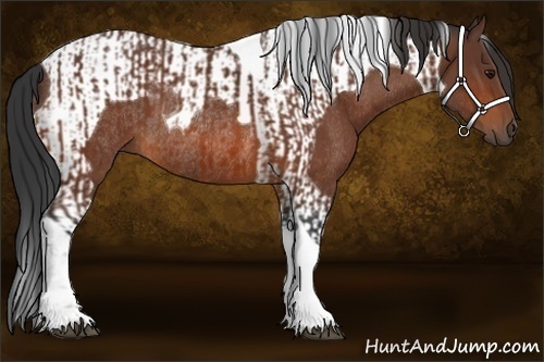 Horse Color:Bay Tobiano Rabicano  and Bay Tobiano Rabicano 