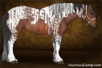 Horse Color:Bay Tobiano Rabicano  and Bay Tobiano Rabicano 