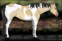 Horse Color:Buckskin Dun Tobiano  and Buckskin Roan Dun Tobiano 
