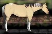 Horse Color:Buckskin Dun Tobiano  and Buckskin Dun Tobiano 