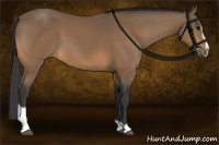 Horse Color:Buckskin Sabino