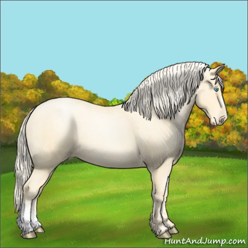 Horse Color:Palomino Roan Pearl and Palomino Roan Pearl