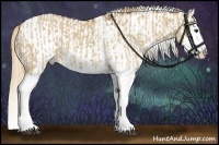 Horse Color:Red Dun Splash and White Spotted Red Dun Splash
