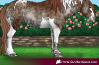 Horse Color:Blue Onyx Ice Pearl Tobiano 