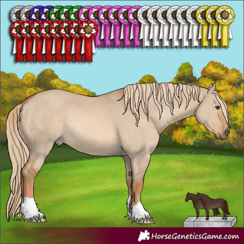 Horse Color:Red Dun 