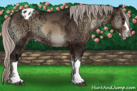 Horse Color:Silver Blue Onyx Ice Appaloosa