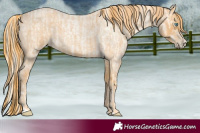 Horse Color:Palomino Roan Pearl  and Red Roan 