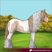 Horse Color:Red Dun Tobiano