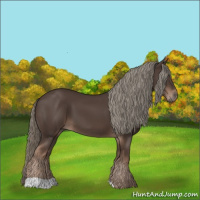 Horse Color:Liver Chestnut Mushroom 