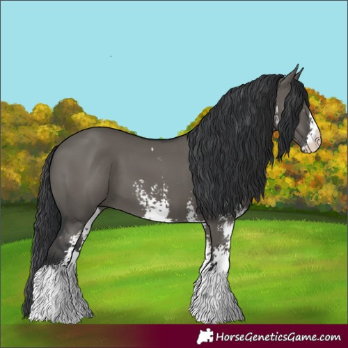 Horse Color:Grullo Sabino 