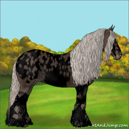 Horse Color:Void Silver Blue Roan Splash Frame Appaloosa Rabicano 