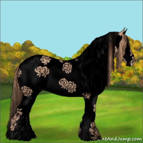 Horse Color:Void Gold Champagne Splash Tobiano Rabicano 