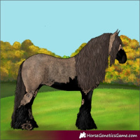 Horse Color:Void Amber Champagne Roan Splash Rabicano 