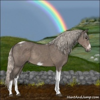 Horse Color:Silver Black Tobiano Frame 